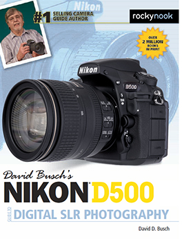 Nikon D500 Guide